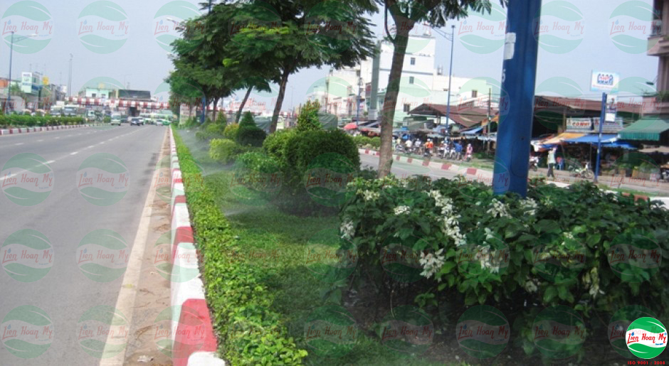 Hệ thống tưới tự động Đường Trường Chinh